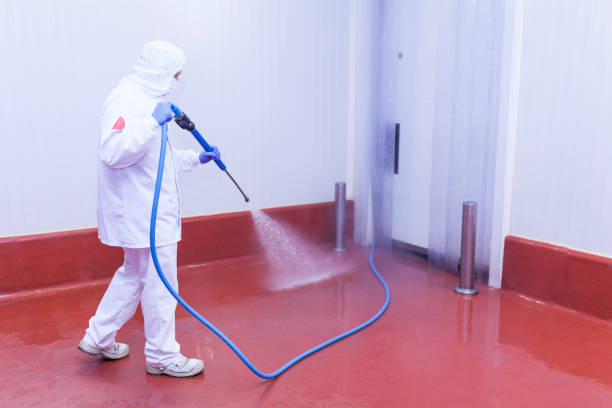 Best Commercial Pressure Washing in Mexia, TX